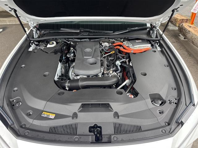24906929_carP_l_3.jpg