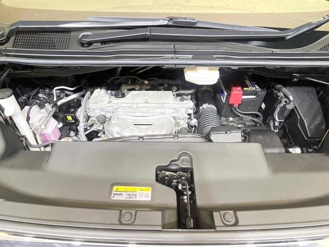 26794144_carP_l_16.jpg