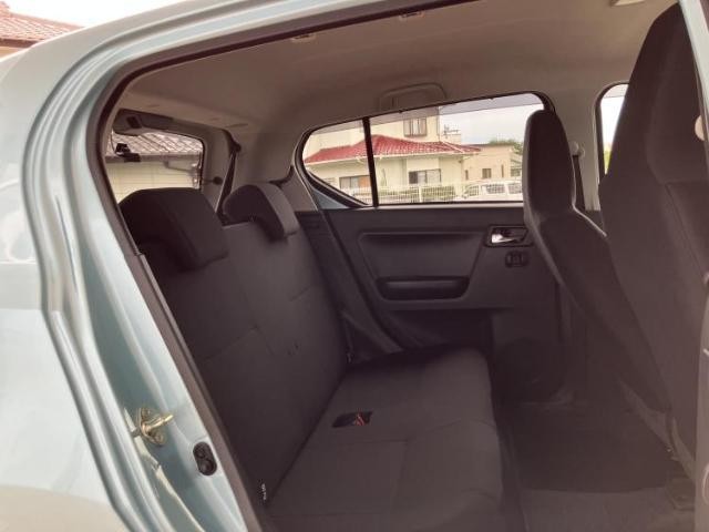25143779_carP_l_10.jpg