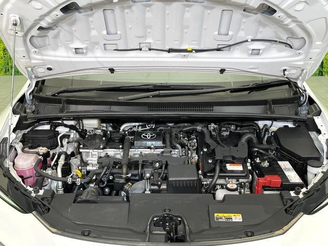 25056101_carP_l_16.jpg