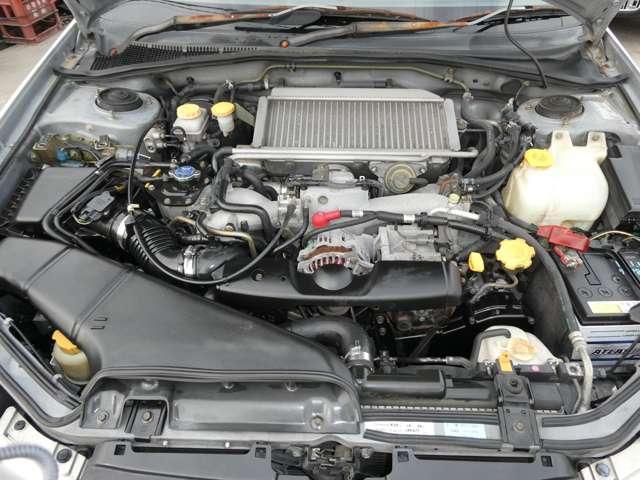 20052753_carP_l_5.jpg