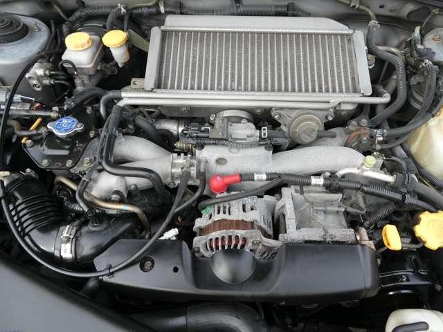 20052753_carP_l_6.jpg