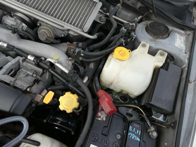 20052753_carP_l_8.jpg