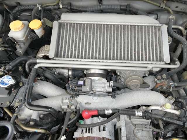 20052753_carP_l_9.jpg