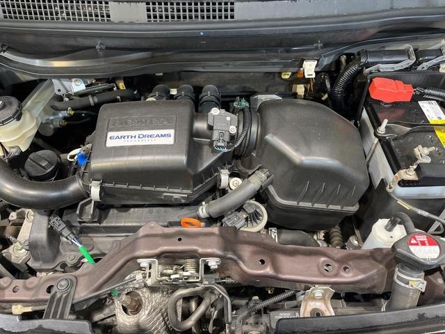 26251947_carP_l_16.jpg