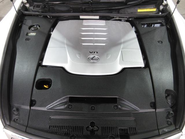 23472584_carP_l_20.jpg