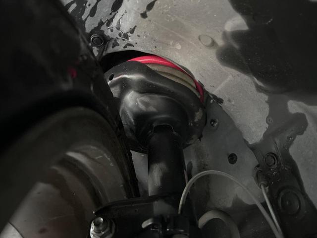23535559_carP_l_20.jpg