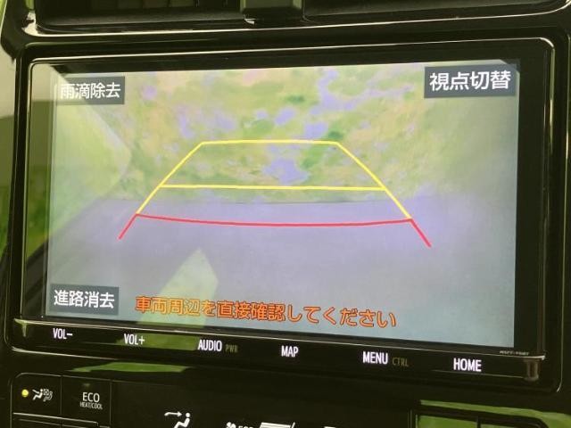 24947109_carP_l_6.jpg
