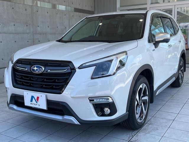 26022609_carP_l_16.jpg