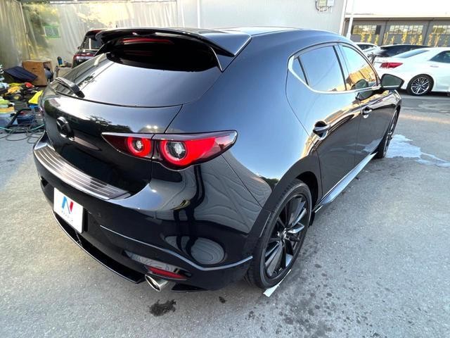 25754861_carP_l_20.jpg
