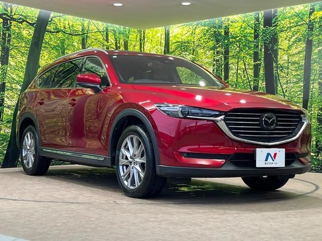 26403085_carP_l_12.jpg