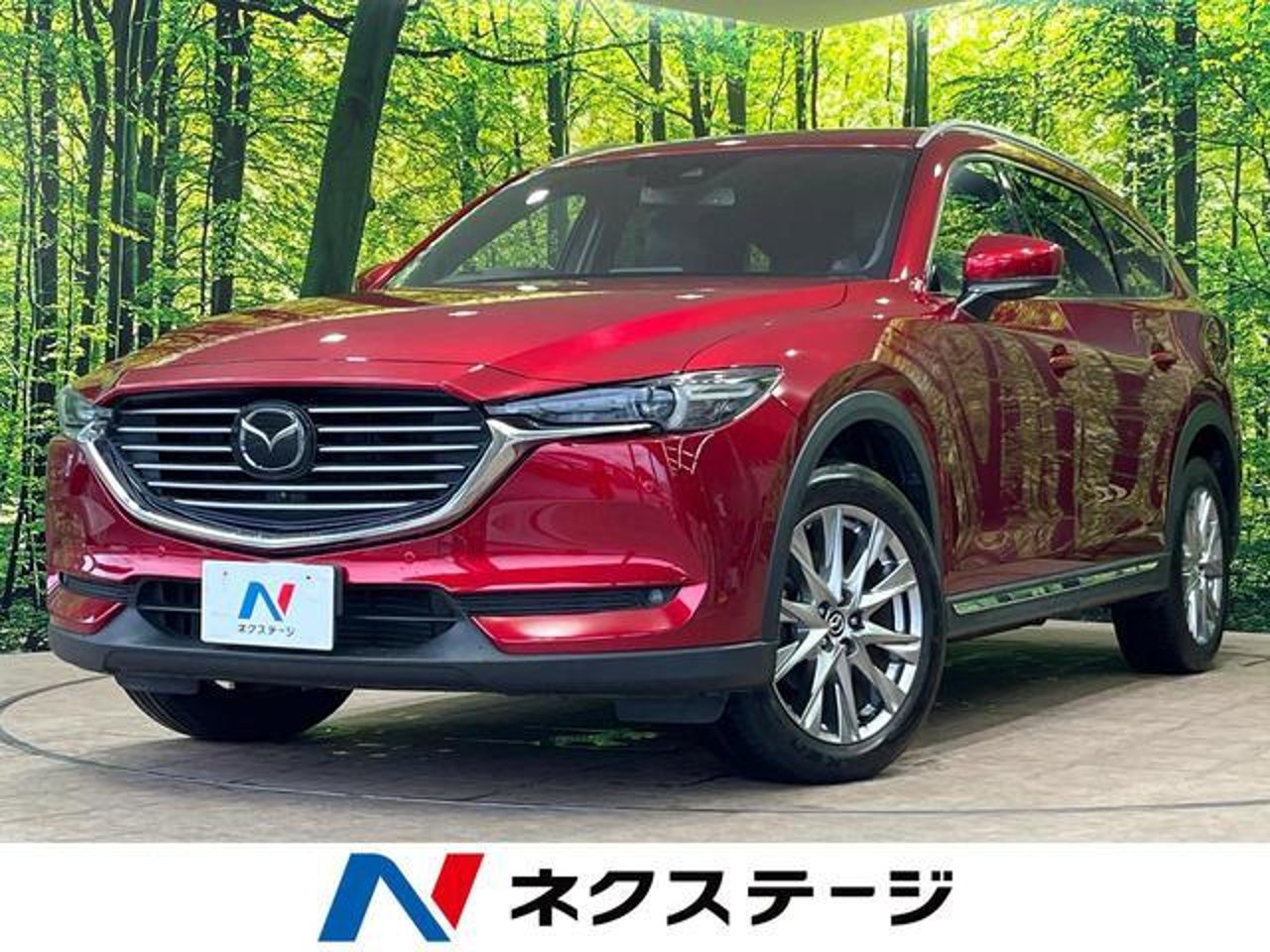 2019 Mazda Cx8, photo 1 of 1