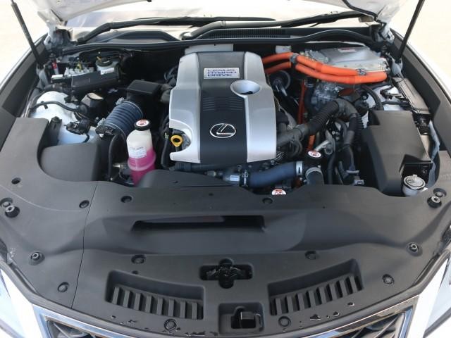 25617816_carP_l_17.jpg