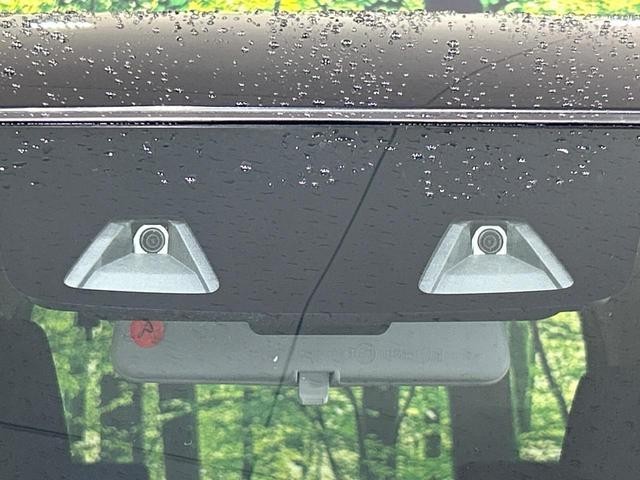 26252003_carP_l_15.jpg