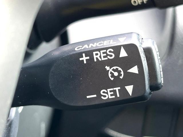 25754864_carP_l_13.jpg