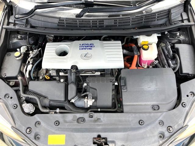 25754864_carP_l_18.jpg