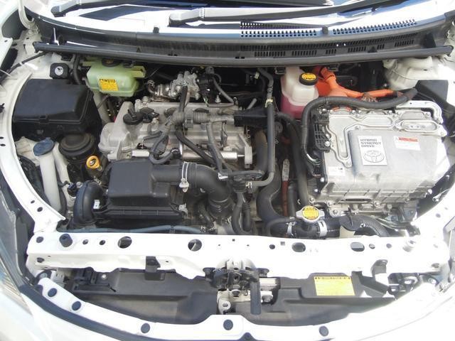 26461998_carP_l_12.jpg