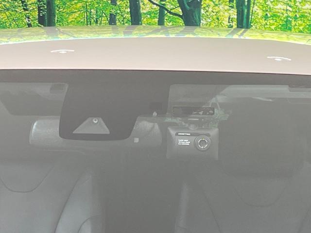 23734907_carP_l_10.jpg