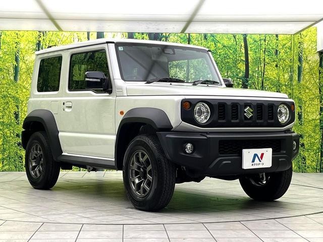 25096544_carP_l_9.jpg