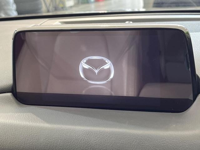 26731033_carP_l_4.jpg