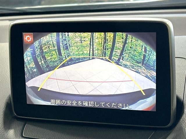 26947100_carP_l_4.jpg