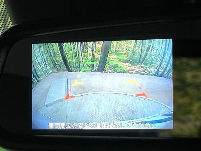 23477591_carP_l_4.jpg