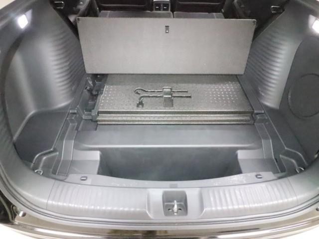 25481425_carP_l_9.jpg
