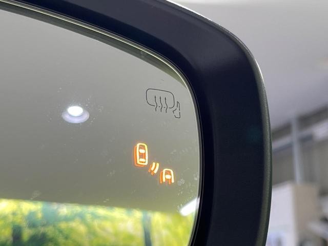 25549718_carP_l_14.jpg
