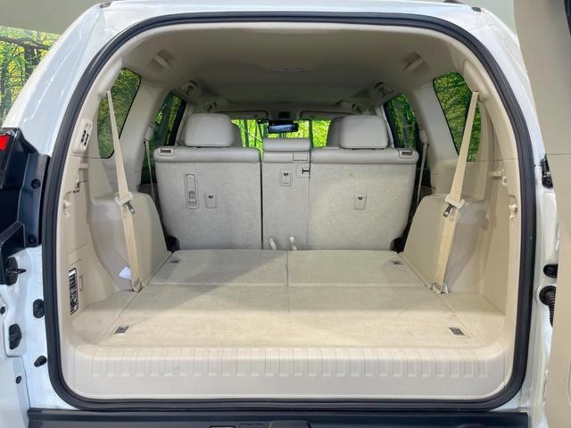 26710853_carP_l_5.jpg