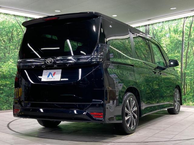 24380619_carP_l_12.jpg