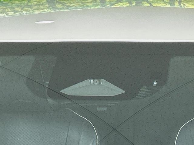 26043866_carP_l_10.jpg