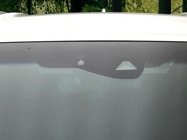 25096547_carP_l_10.jpg
