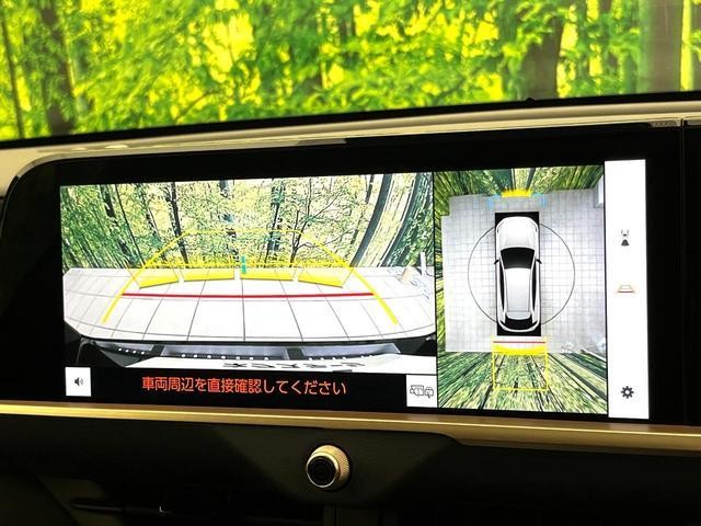 25096554_carP_l_10.jpg
