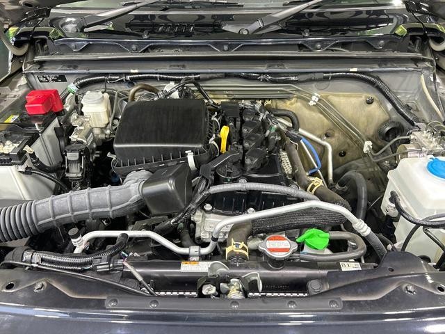 26252010_carP_l_16.jpg