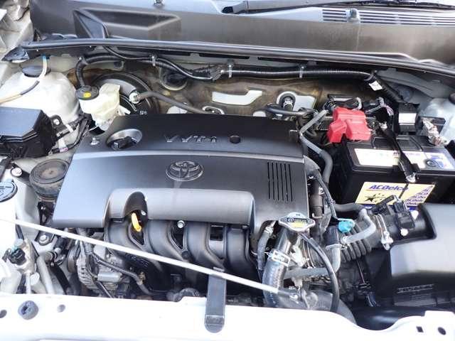 18300047_carP_l_20.jpg
