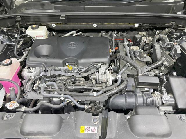 23734964_carP_l_16.jpg