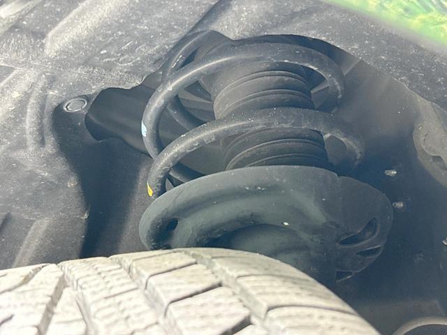 23734964_carP_l_20.jpg