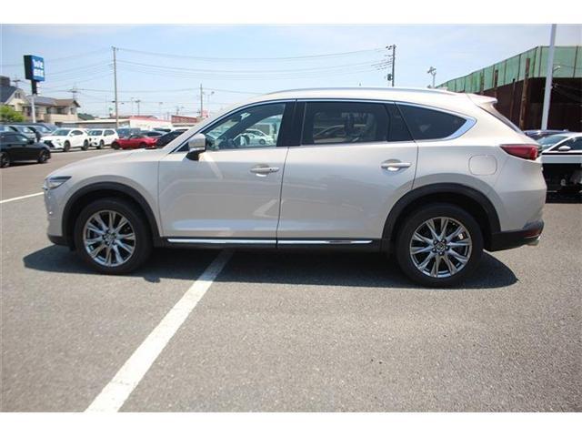 23708563_carP_l_2.jpg