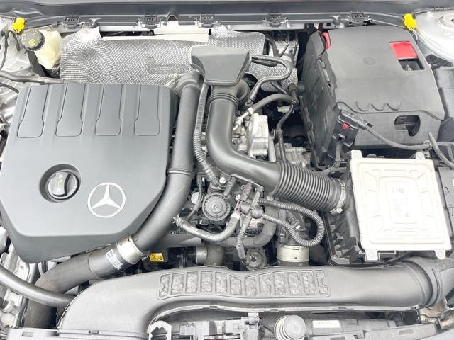 25241118_carP_l_18.jpg