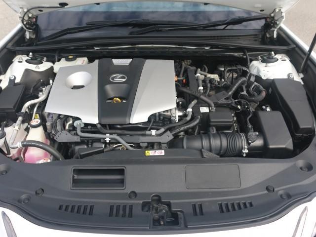 26028792_carP_l_17.jpg