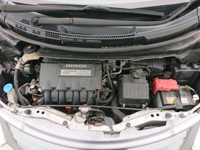 24204377_carP_l_2.jpg