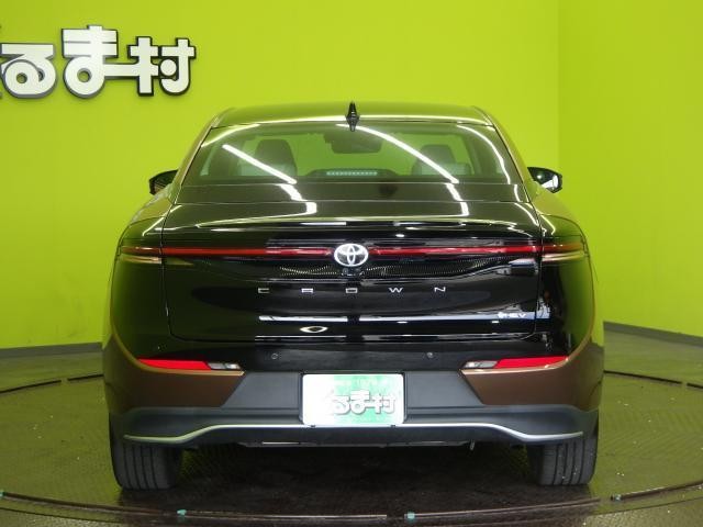 26461219_carP_l_18.jpg