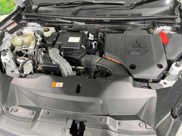 24953216_carP_l_18.jpg