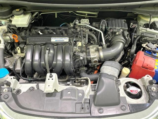 25755003_carP_l_16.jpg