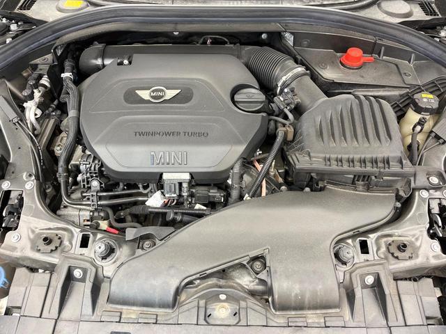 23225917_carP_l_18.jpg