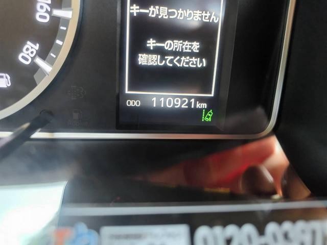 26044132_carP_l_16.jpg