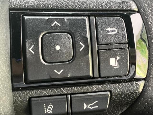 23919729_carP_l_16.jpg