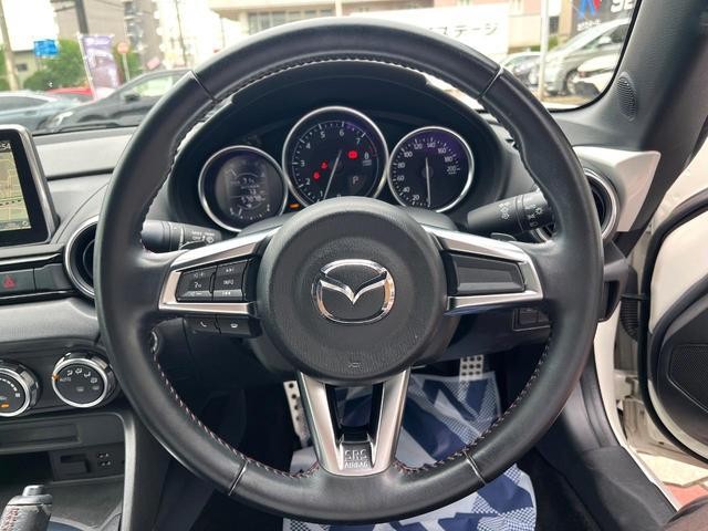 26126343_carP_l_5.jpg