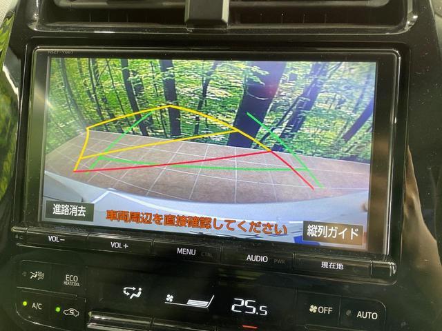 23556462_carP_l_4.jpg