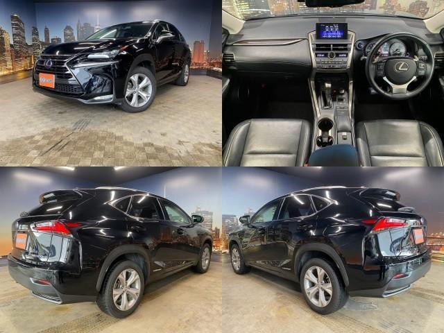 26497130_carP_l_15.jpg